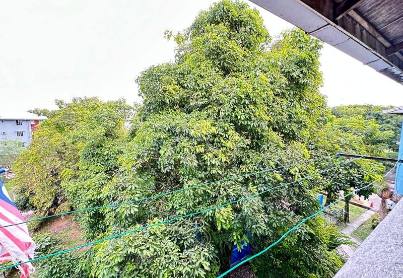 Seksyen 20, Shah Alam