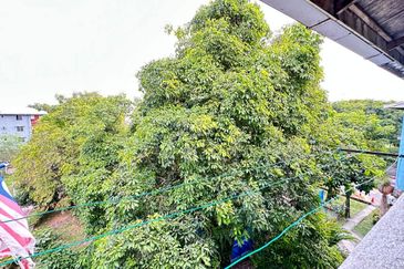 Seksyen 20, Shah Alam