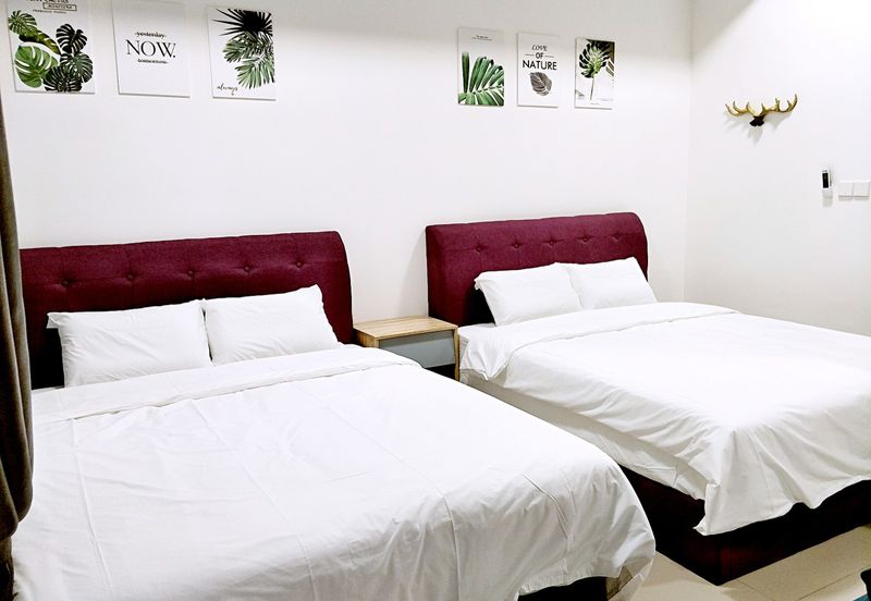 Tropicana 218 Macalister