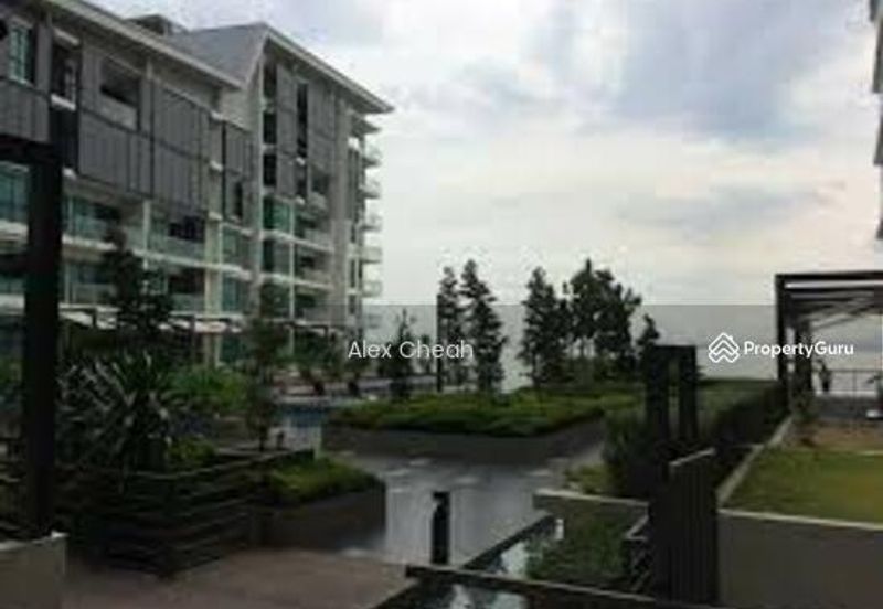 The Light Collection II