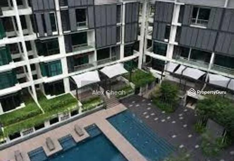 The Light Collection II