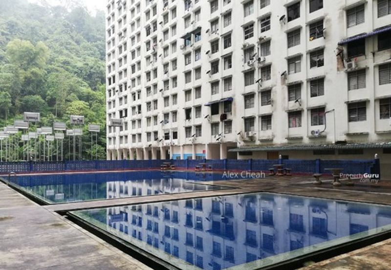 Green Garden, Paya Terubong