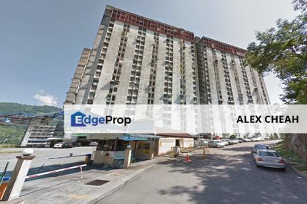 Bukit Saujana, Penang, Paya Terubong