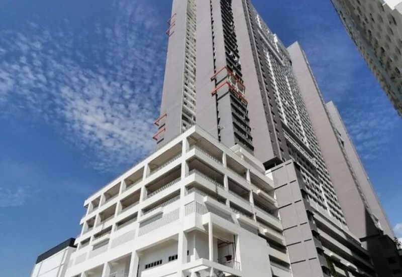 The Rise Collection 2