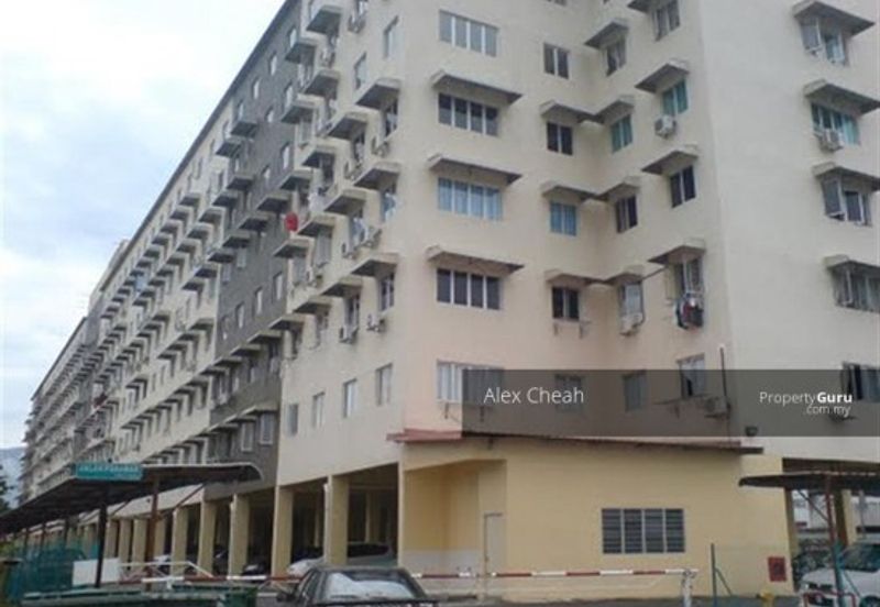 Taman Sinar Pelangi (Lavender Park)