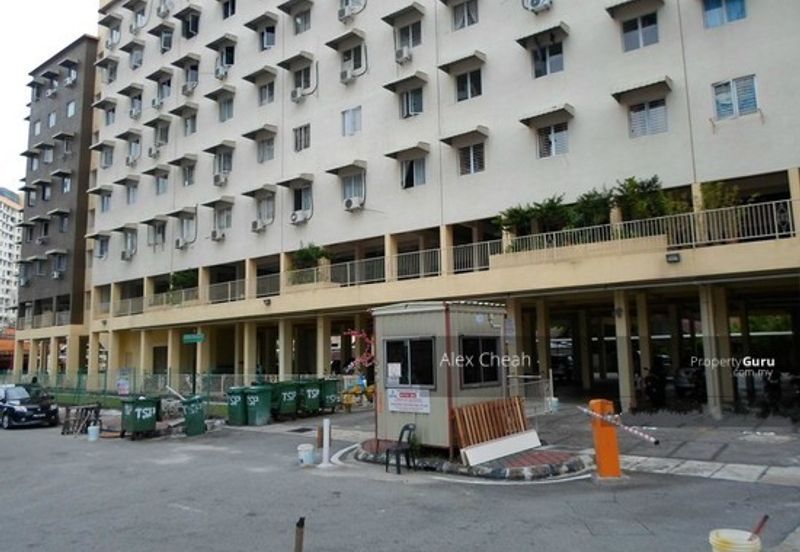 Taman Sinar Pelangi (Lavender Park)