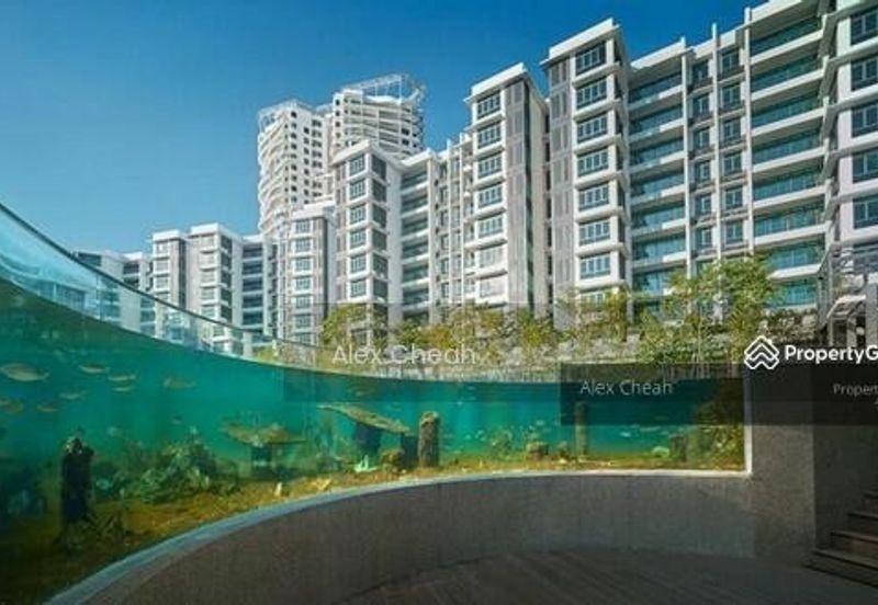 The Light Collection III