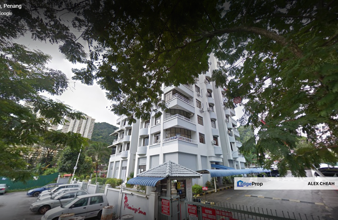 Flamingo Series, Penang, Greenlane