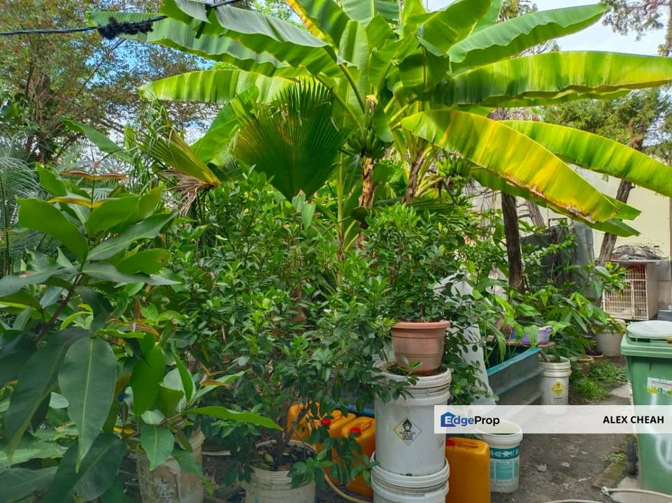 Islans Park , Lengkok Tembaga, Penang, Greenlane