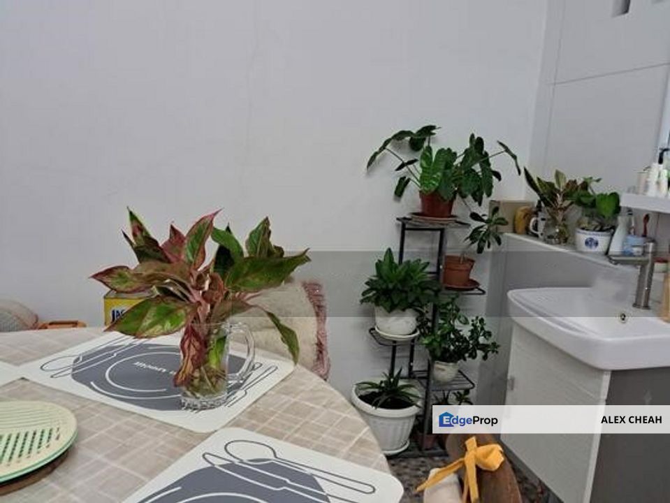 Island Glades, 1/S Terrace @ Lorong Delima, Greenlane, Penang, Penang, Greenlane