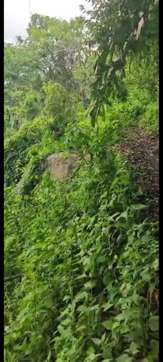 Penang Hill , Land , Penang, Ayer Itam