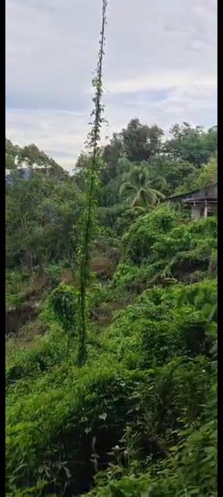 Penang Hill , Land , Penang, Ayer Itam