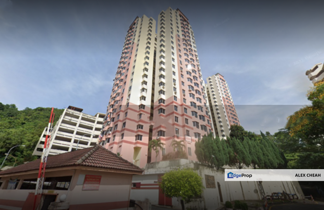 Kingfisher Series, Penang, Greenlane