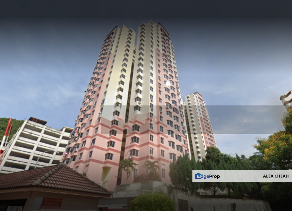 Kingfisher Series, Penang, Greenlane