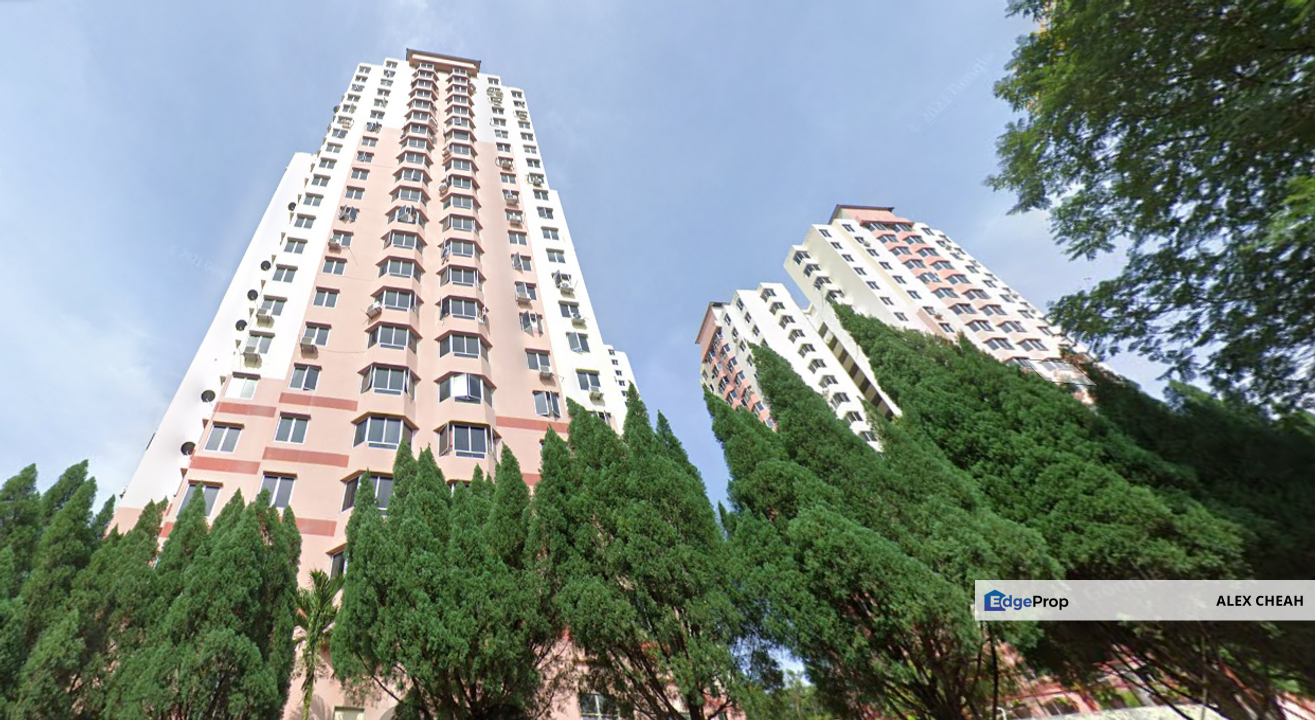 Kingfisher Series, Penang, Greenlane