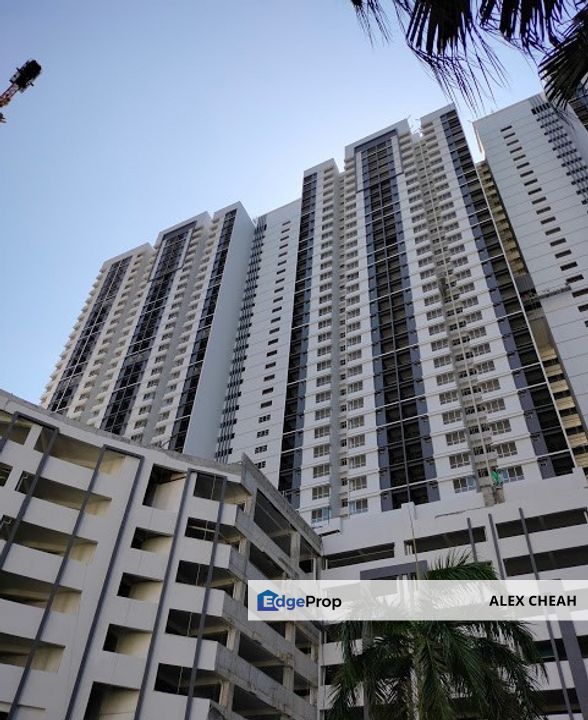 The Stone, Penang, Paya Terubong