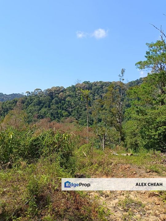 Ayer Itam Dam Upper Land , Penang, Ayer Itam