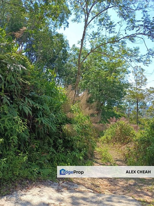 Ayer Itam Dam Upper Land , Penang, Ayer Itam