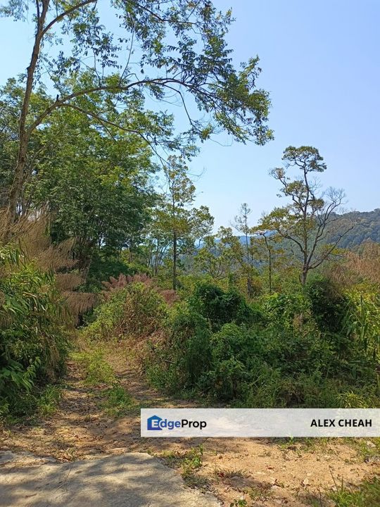 Ayer Itam Dam Upper Land , Penang, Ayer Itam