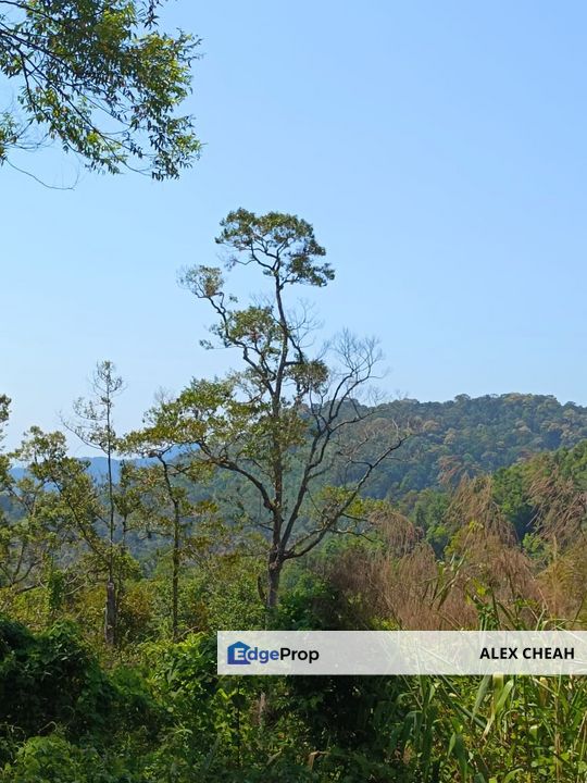 Ayer Itam Dam Upper Land , Penang, Ayer Itam