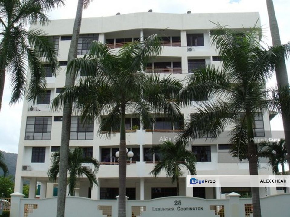 Desa Palma, Penang, Pulau Tikus