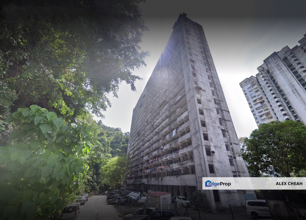 Grandview Heights, Penang, Paya Terubong