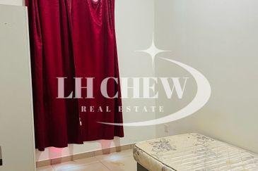 Tree Sparina @ Ideal Vision Park