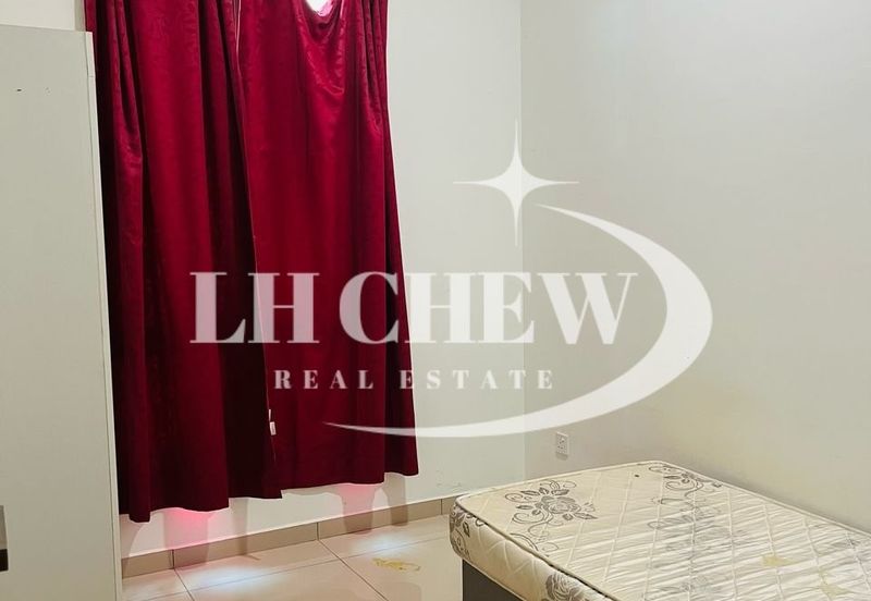 Tree Sparina @ Ideal Vision Park