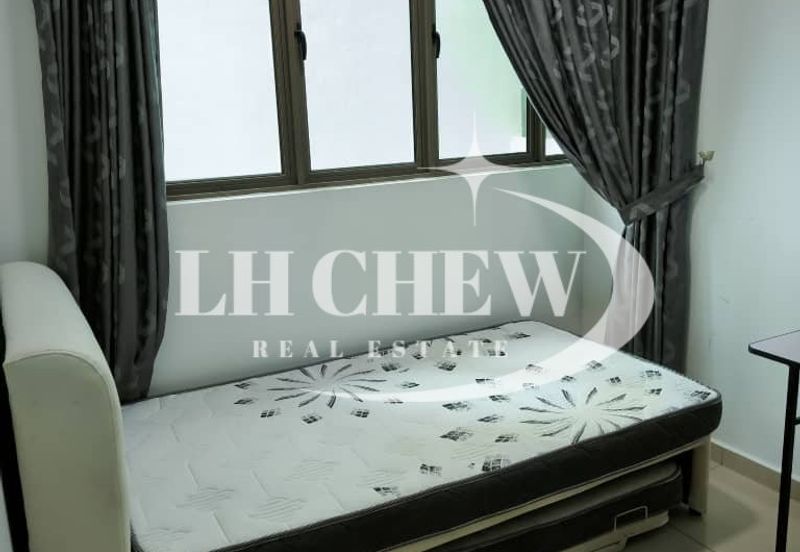 Tree Sparina @ Ideal Vision Park