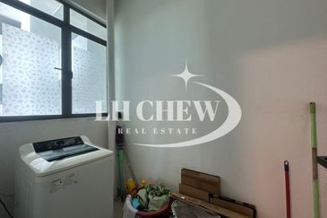 Tree Sparina @ Ideal Vision Park