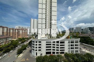 Tree Sparina @ Ideal Vision Park