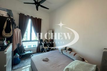 Tree Sparina @ Ideal Vision Park