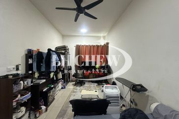 Tree Sparina @ Ideal Vision Park