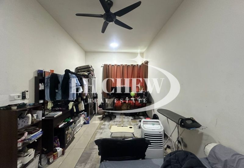 Tree Sparina @ Ideal Vision Park