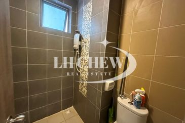 Tree Sparina @ Ideal Vision Park