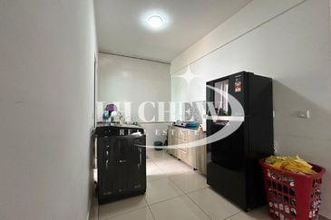 Tree Sparina @ Ideal Vision Park