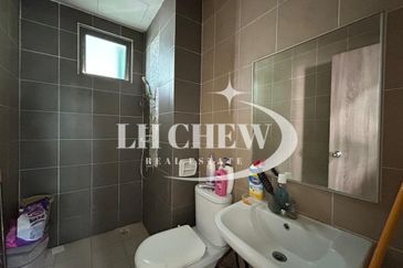 Tree Sparina @ Ideal Vision Park