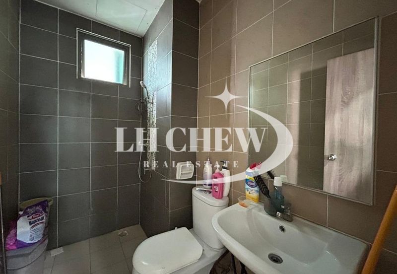 Tree Sparina @ Ideal Vision Park