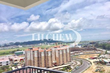 Tree Sparina @ Ideal Vision Park