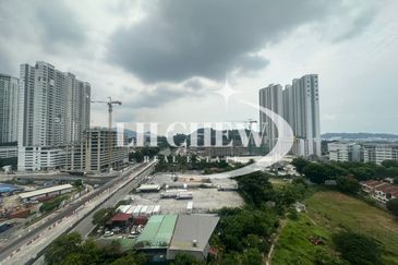 Tree Sparina @ Ideal Vision Park