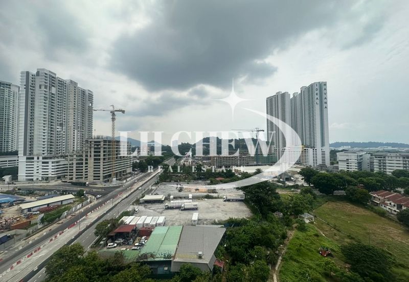 Tree Sparina @ Ideal Vision Park