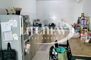 Tree Sparina @ Ideal Vision Park