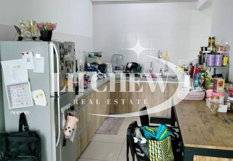 Tree Sparina @ Ideal Vision Park