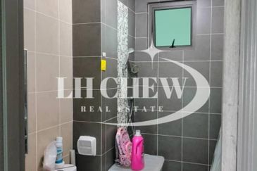 Tree Sparina @ Ideal Vision Park