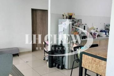 Tree Sparina @ Ideal Vision Park