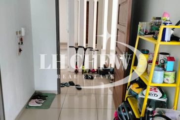 Tree Sparina @ Ideal Vision Park