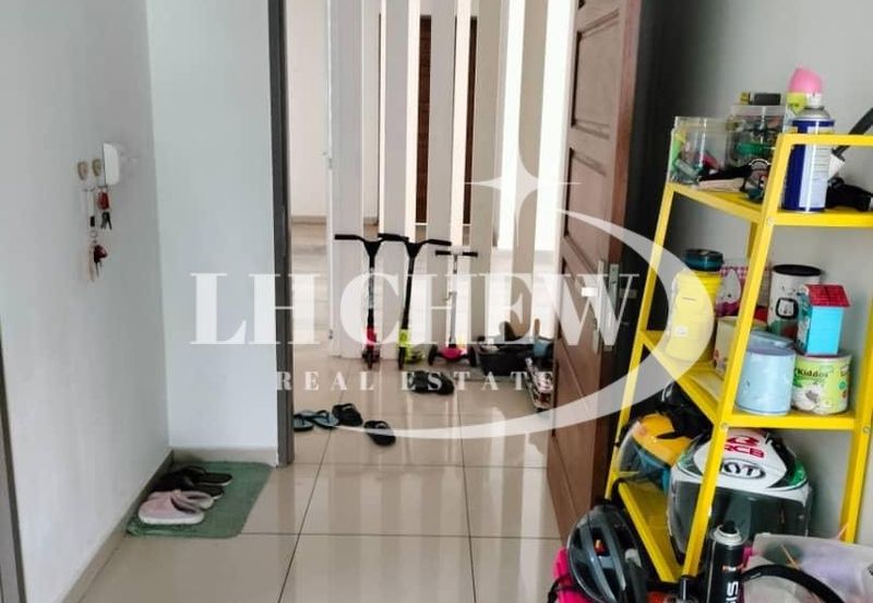 Tree Sparina @ Ideal Vision Park