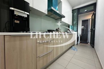 The Light Collection III