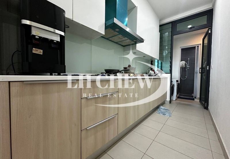 The Light Collection III