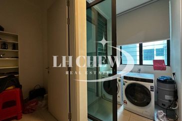 The Light Collection III